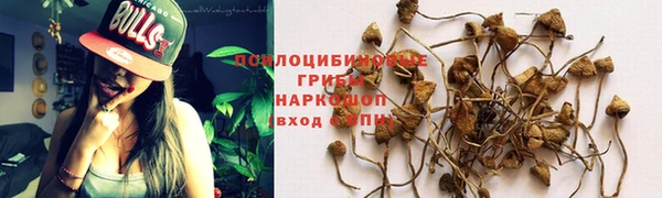 прущие крисы Алексин