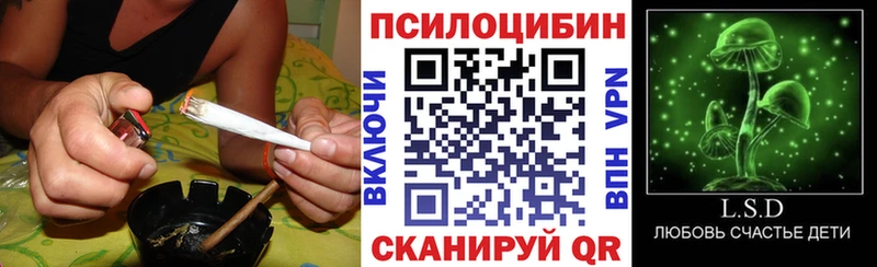Галлюциногенные грибы Magic Shrooms  Моздок 